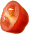 Untitled-2_0003_tomato4.png