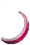 combos_0007_8.png