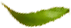 fresh_0003_4.png