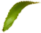 fresh_0004_5.png