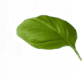 green_0001_2.png